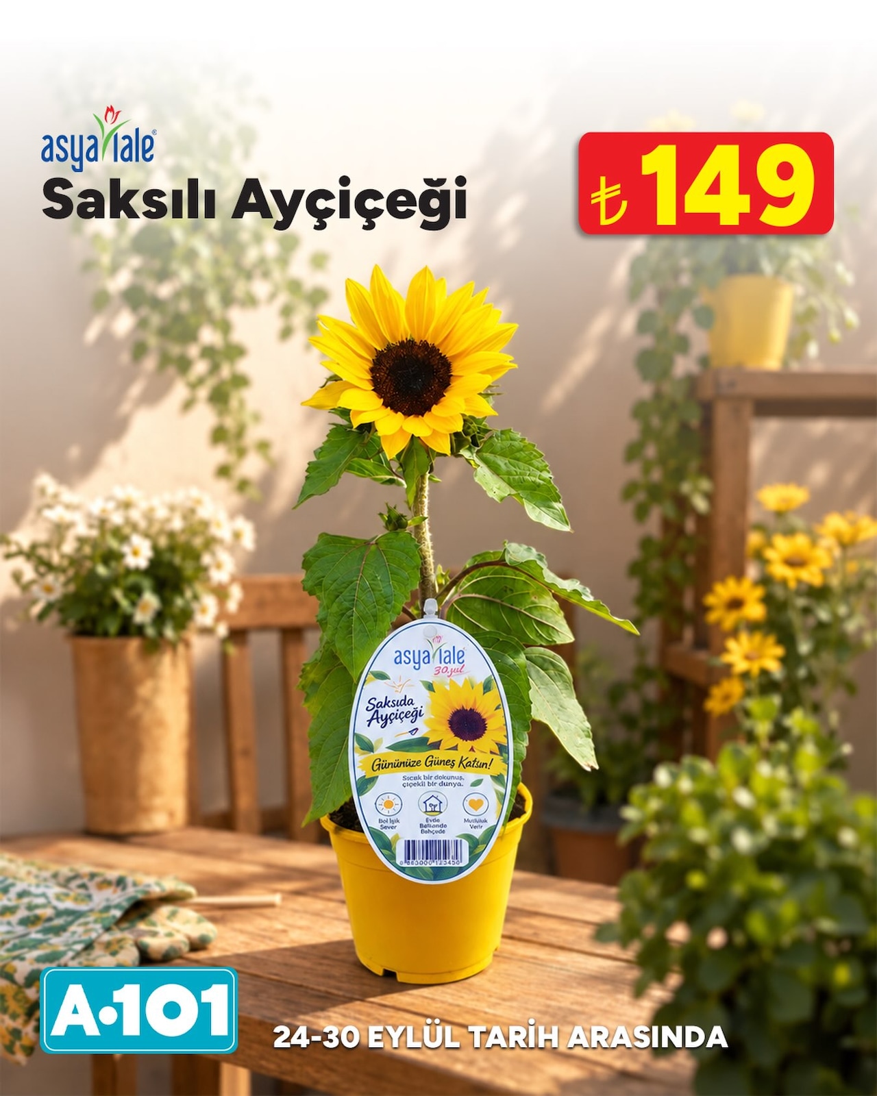 A101 24 Eylül 2026 Facebook Paylaşımı