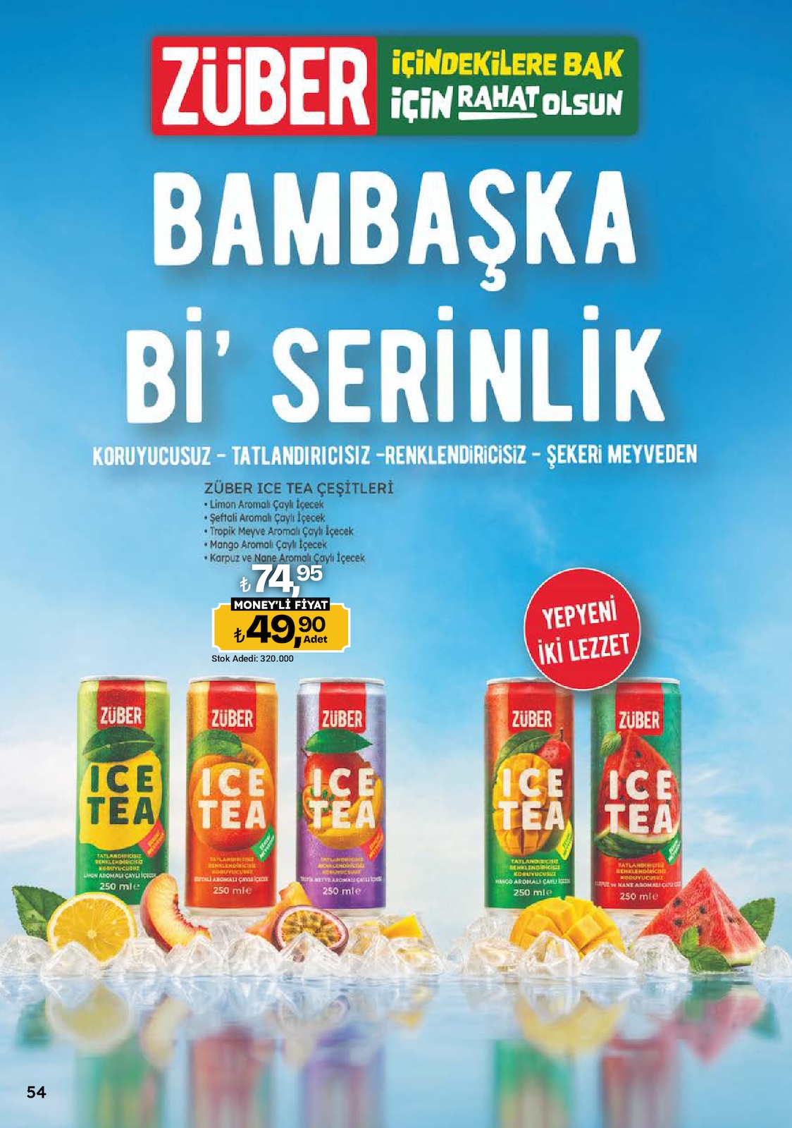 Sayfa 54 küçük resmi
