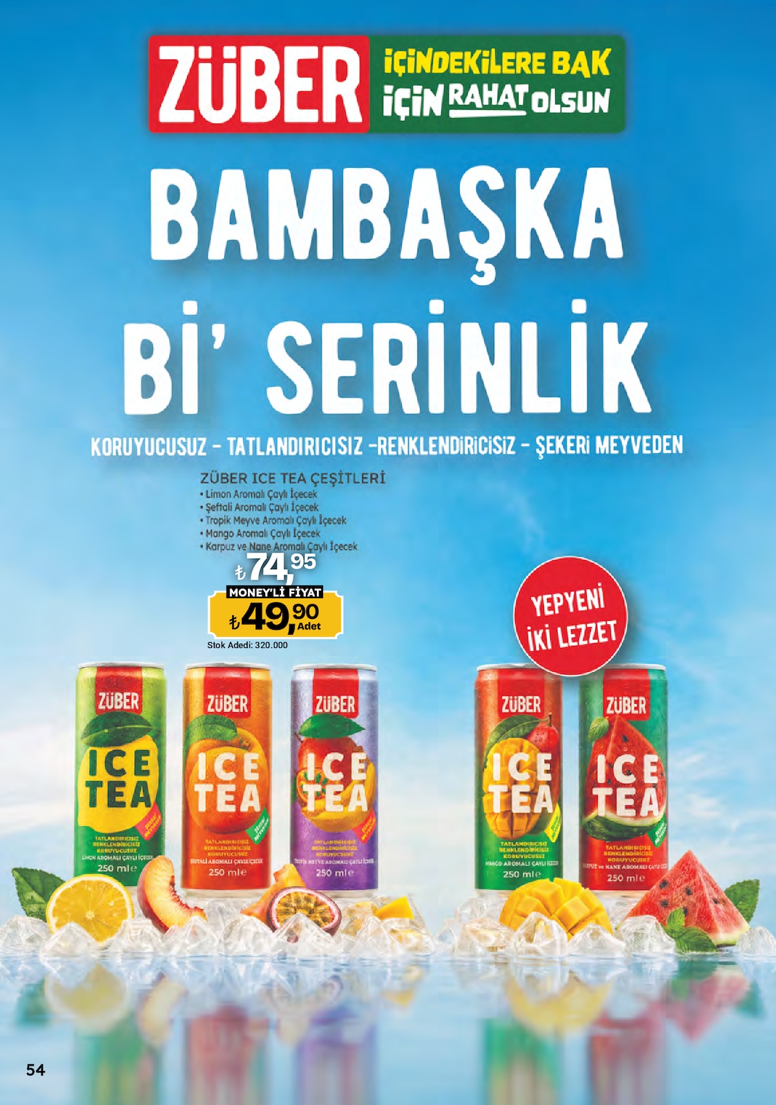 Sayfa 54 küçük resmi